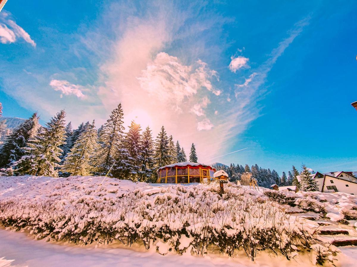 Teleferic Grand Hotel Poiana Brasov Exterior foto